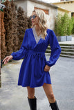 RoyalBlue
